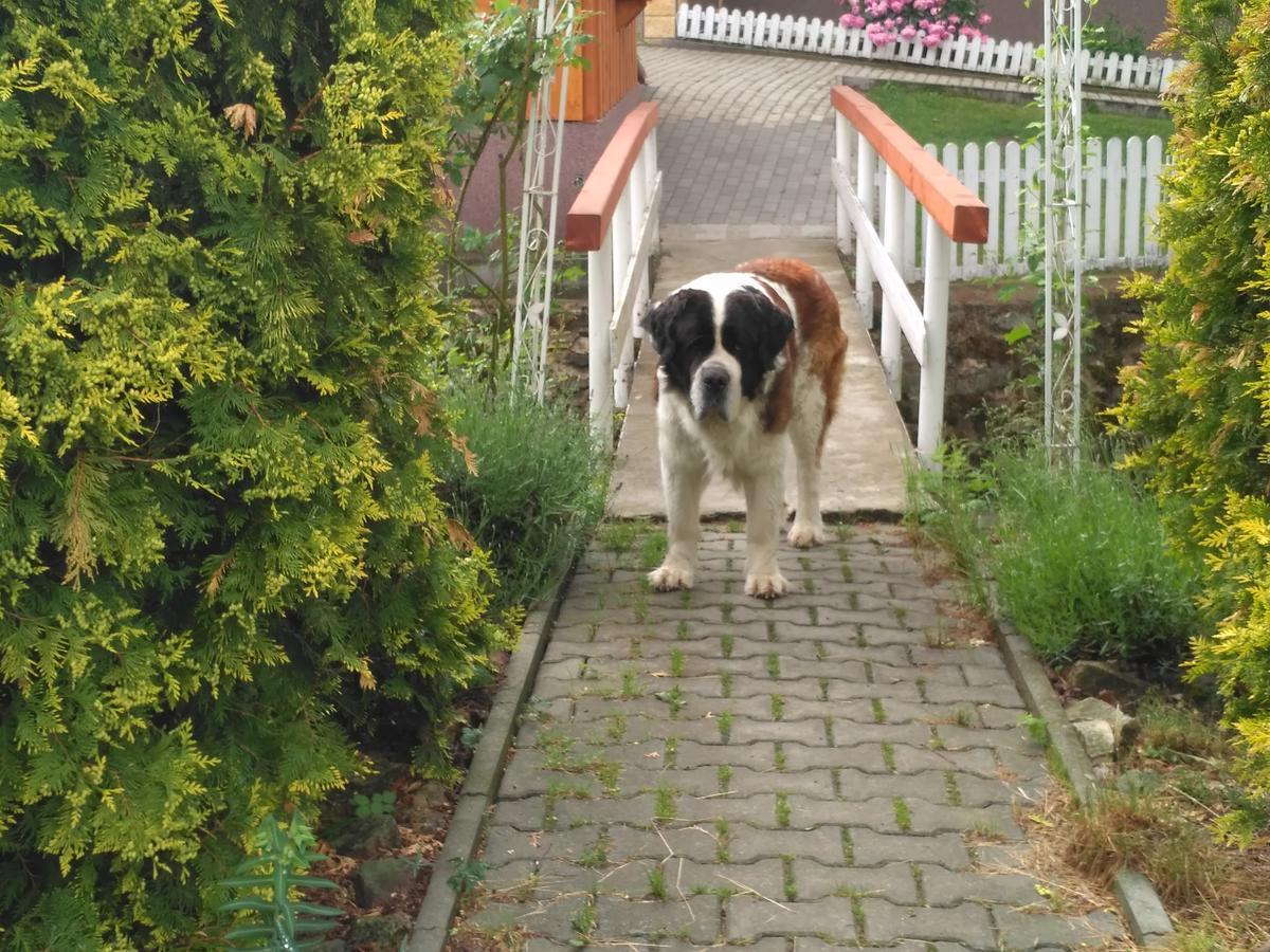 Penzion U Bernardyna Tachov  Buitenkant foto